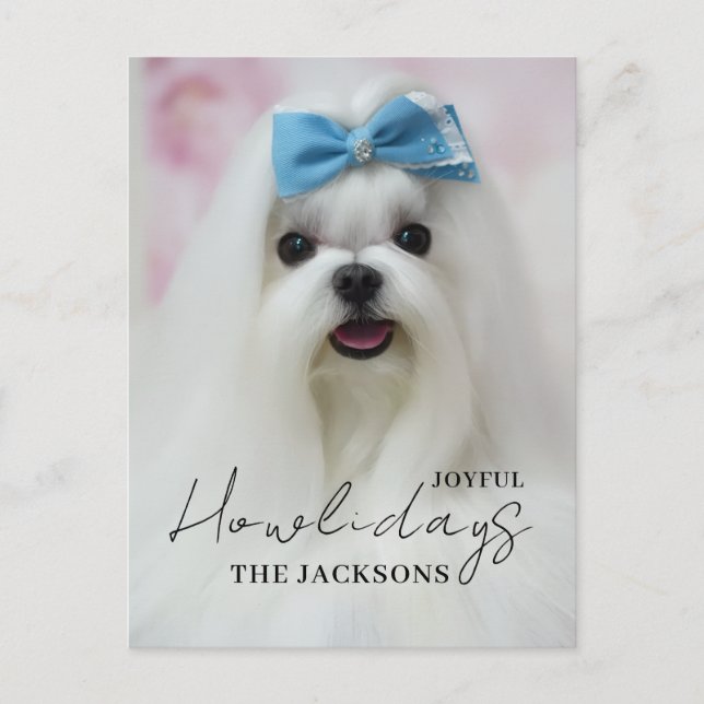 Gladast Howlidays Söt Hund Jul Högtid  Helg Vykort (Framsida)