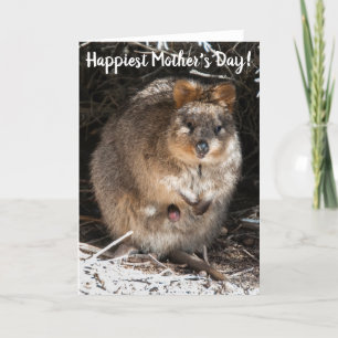 Gladaste Grattis Mamma Quokka Australien Kort