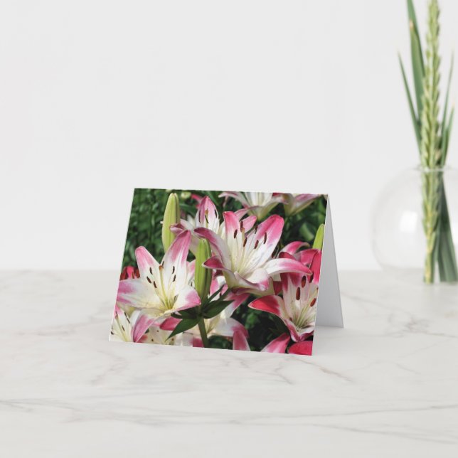 Gladde liljor Blomfotografering Notering Kort (Framsida)