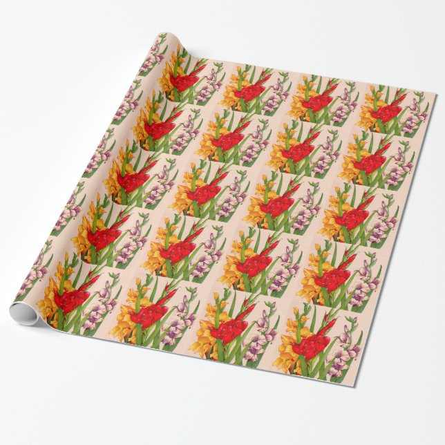 gladiola blommor gladioli blommor presentpapper (Utrullad)