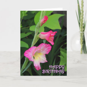 Gladiola födelsedag 3 kort