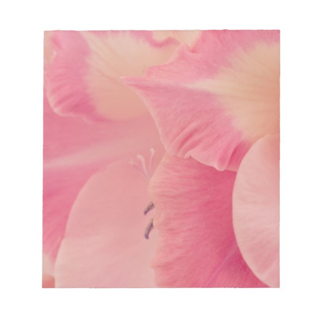 Gladiola Petals Anteckningsblock (Framsida)