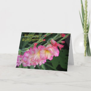 Gladiola Sympathy 2 Kort