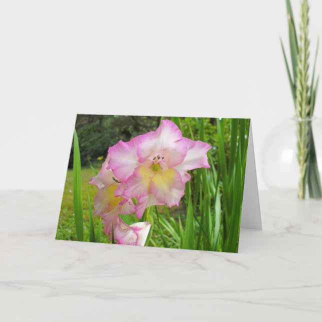 Gladiola tänker på ditt kort (Framsida)