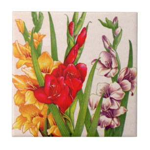 gladiolaen blommar gladioliblommor kakelplatta