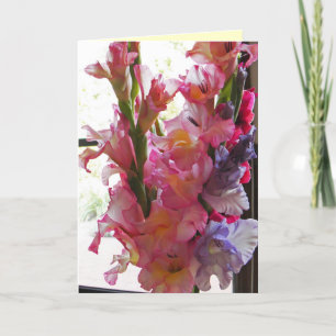 Gladiolas 'som är tänkande av dig card kort