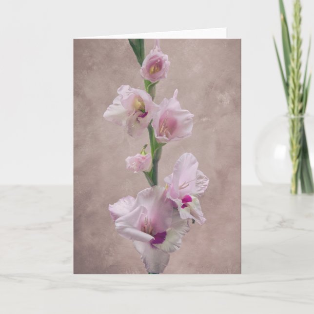 Gladioli-blomsterkort Kort (Framsida)