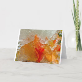 Gladioli in Ice, Kort
