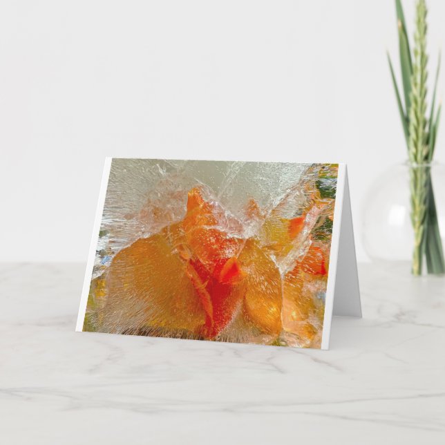 Gladioli in Ice, Kort (Framsida)