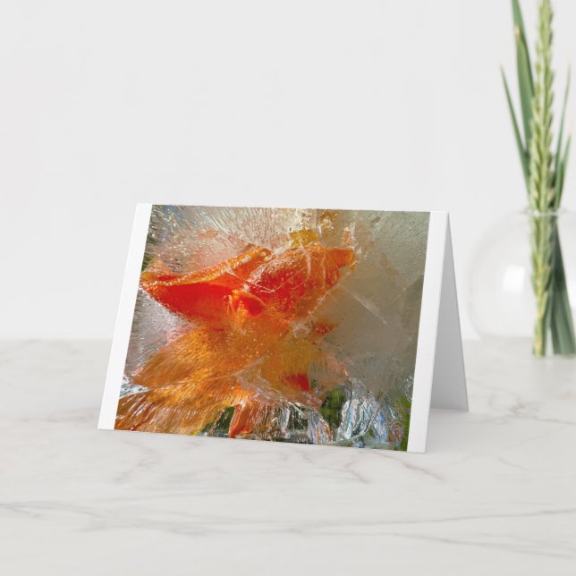 Gladioli in Ice, Kort (Framsida)