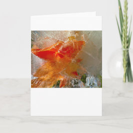 Gladioli in Ice, Kort