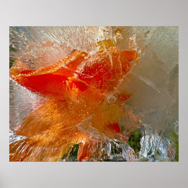 Gladioli in Ice, Poster (Framsidan)