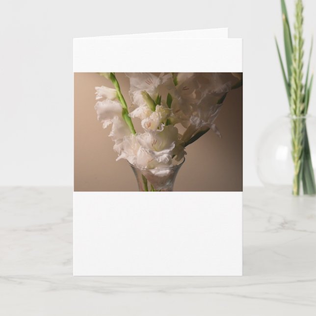 Gladioli, kort (Framsida)