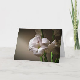Gladioli, kort