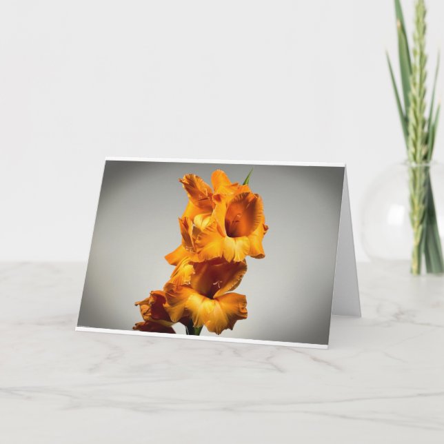 Gladioli, kort (Framsida)
