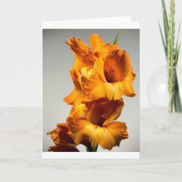 Gladioli, kort