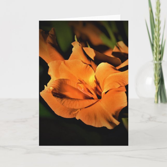 Gladioli, kort (Framsida)