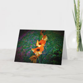 Gladioli, kort