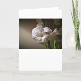 Gladioli, kort