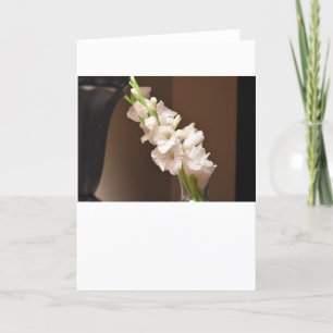 Gladioli, kort