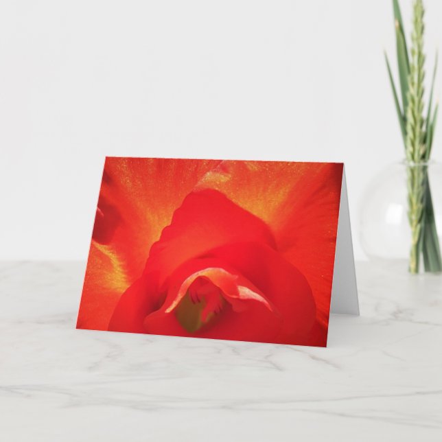 Gladioli, kort (Framsida)