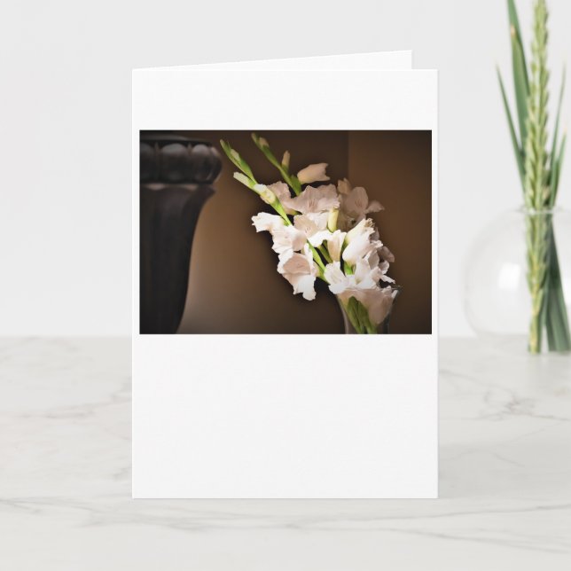 Gladioli, kort (Framsida)
