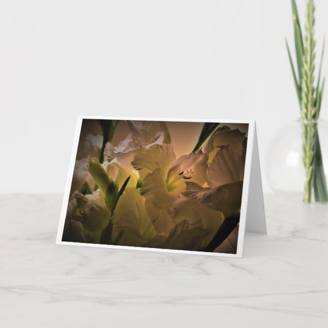 Gladioli, kort (Framsida)