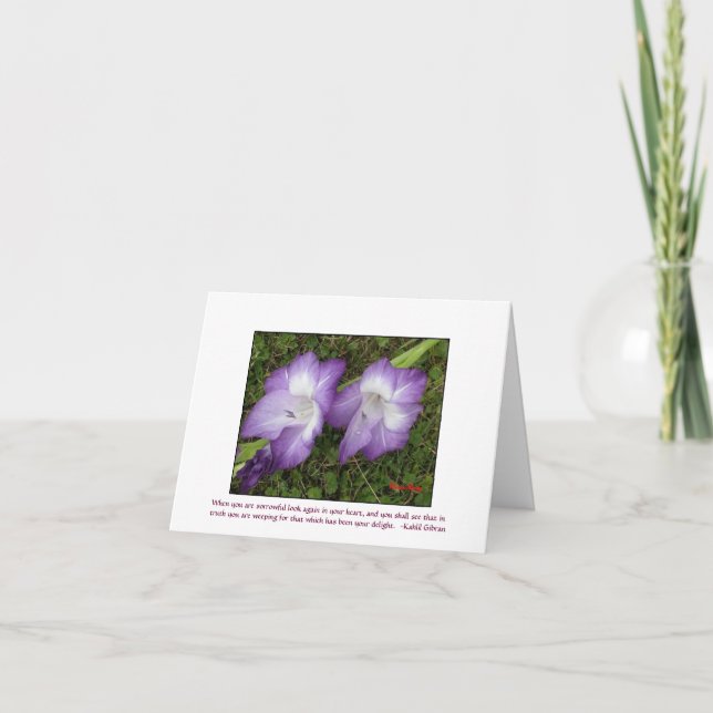 Gladioli Kort (Framsida)