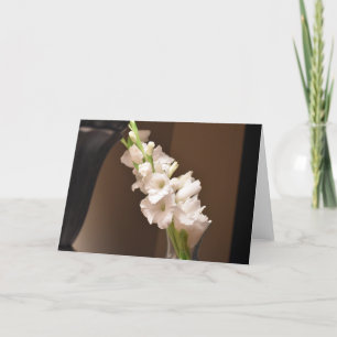 Gladioli, kort