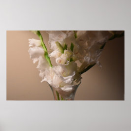 Gladioli, poster