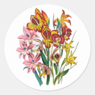 Gladioli Runt Klistermärke