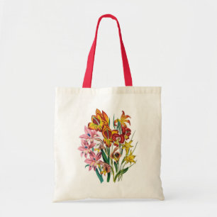 Gladioli Tygkasse