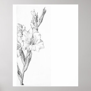 Gladiolus av Julie de Graag (1877-1924). Poster