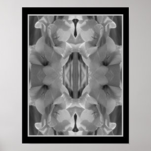 Gladiolus Flower Black and White Abstrakt Poster