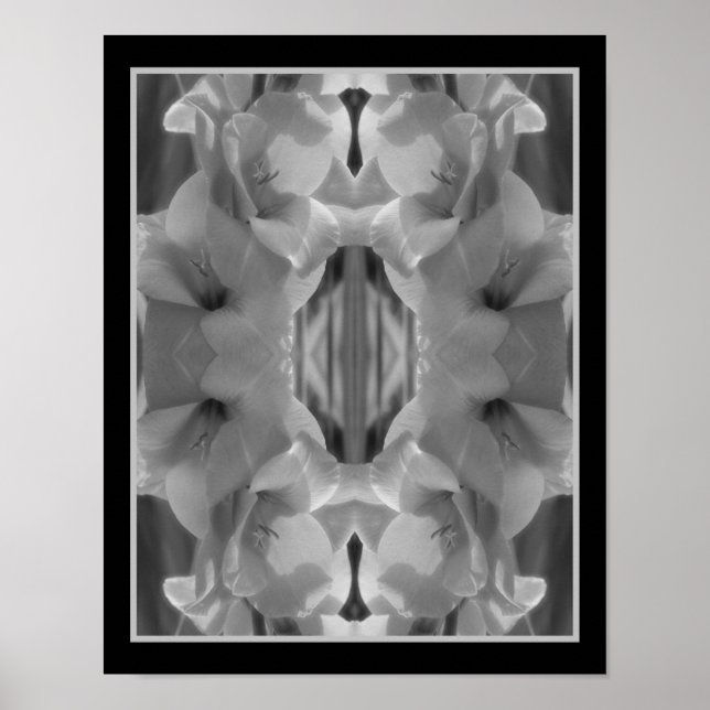 Gladiolus Flower Black and White Abstrakt Poster (Framsidan)
