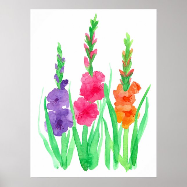 Gladiolus Flowers Lila Rosa Orange Vattenfärg Poster (Framsidan)