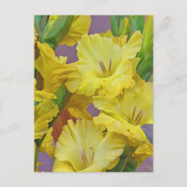 Gladiolus Flowers-vykort Vykort