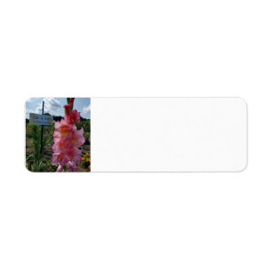 Gladiolus Garden Returadress Etikett