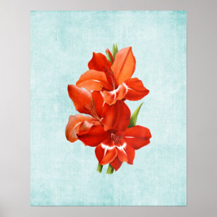 Gladiolus-illustration på åldrad denim poster