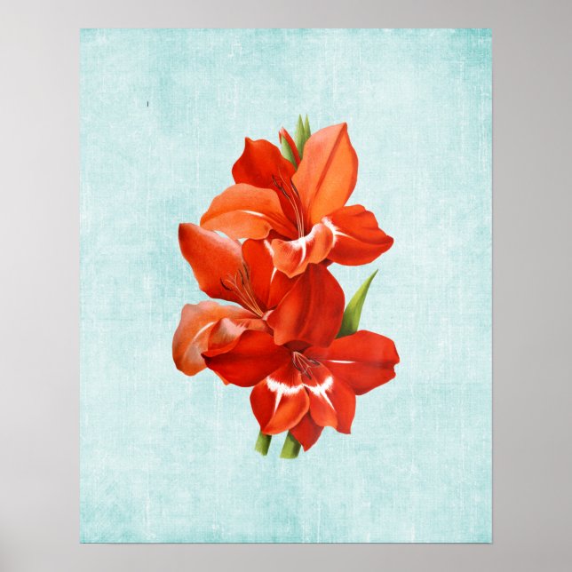Gladiolus-illustration på åldrad denim poster (Framsidan)