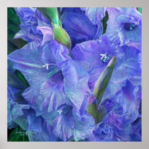 Gladiolus Moods - Lavender Art Poster/skriver ut Poster