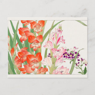 Gladiolus, Schizanthus av Tanigami Konan Vykort