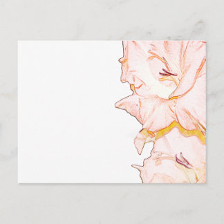 Gladiolus sketch vykort