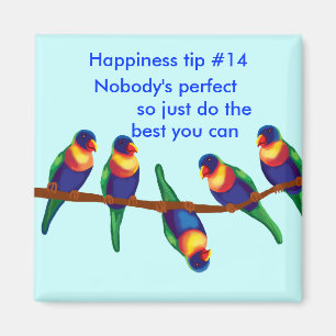 Glädjande tips nummer 14 Ingen perfekt Magnet