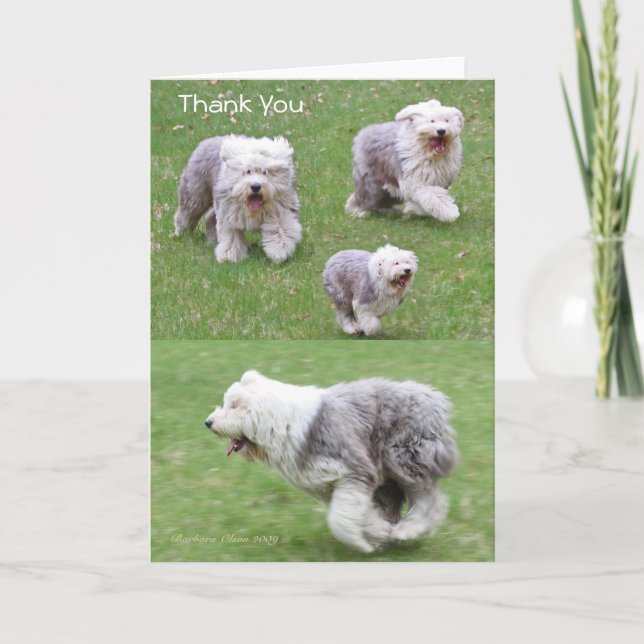 Glädje är det enklast bildar av Gratitude. Tack Kort (Framsida)