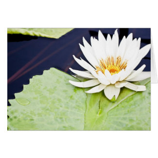 Glädje Hälsningskort