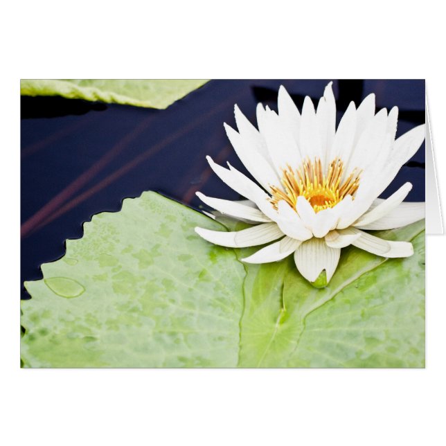 Glädje Hälsningskort (Framsidan Horizontal)