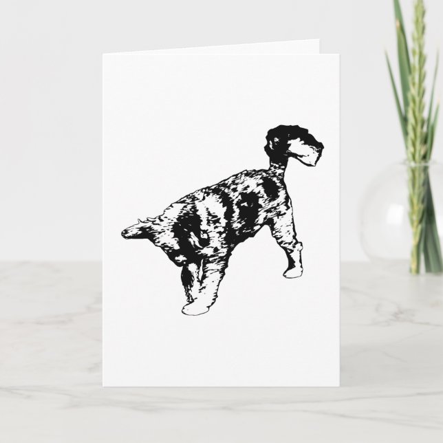 Glädje kommer med steget kort (Framsida)