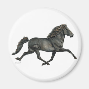 Glädje Magnet