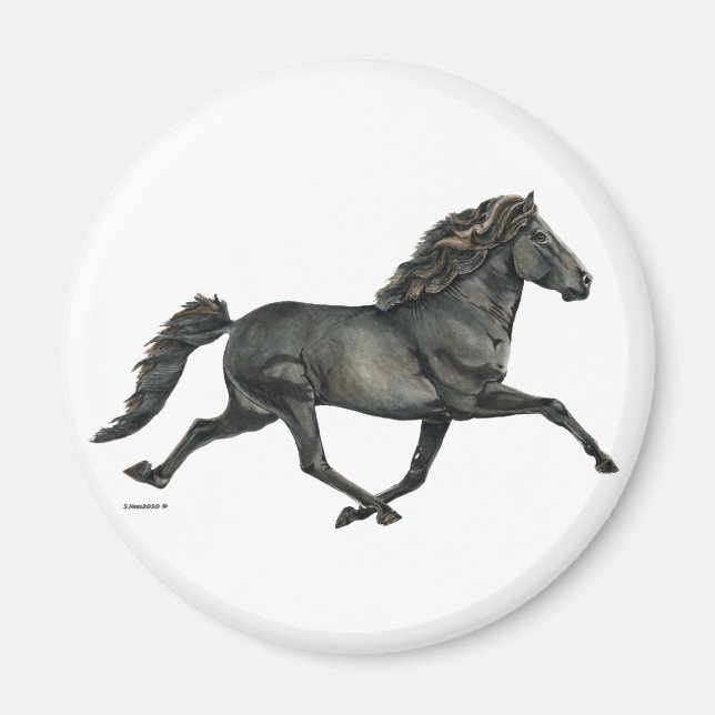 Glädje Magnet (Framsidan)